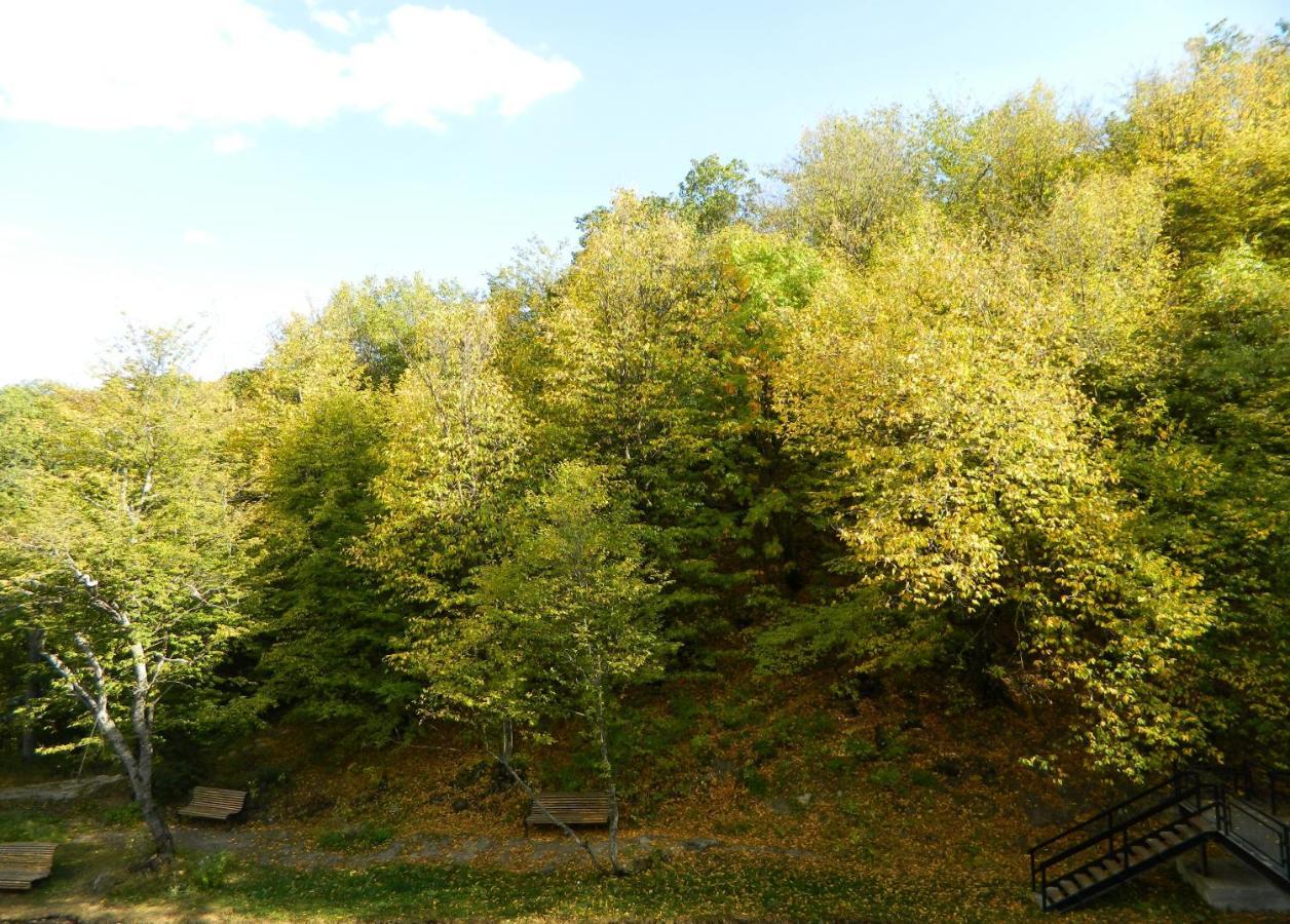 Tsaghkahovit Hotel Cahkadzor Kültér fotó